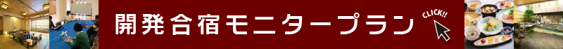 開発合宿モニタープラン